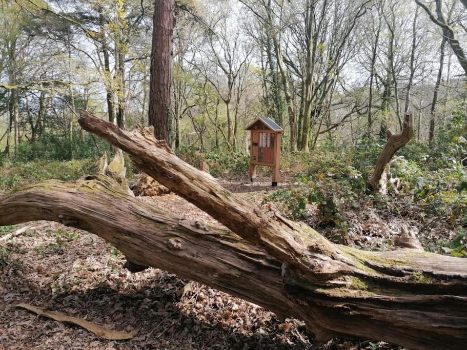 Pebble Cottage Uny Lelant Εξωτερικό φωτογραφία